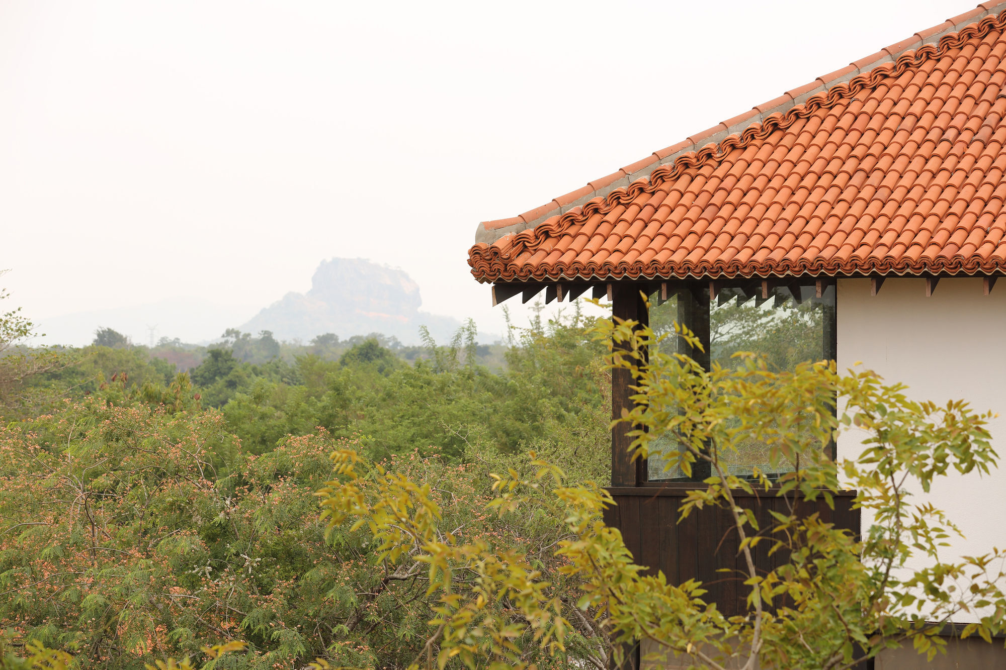 Sigiriyajungles Resort & Spa Екстер'єр фото